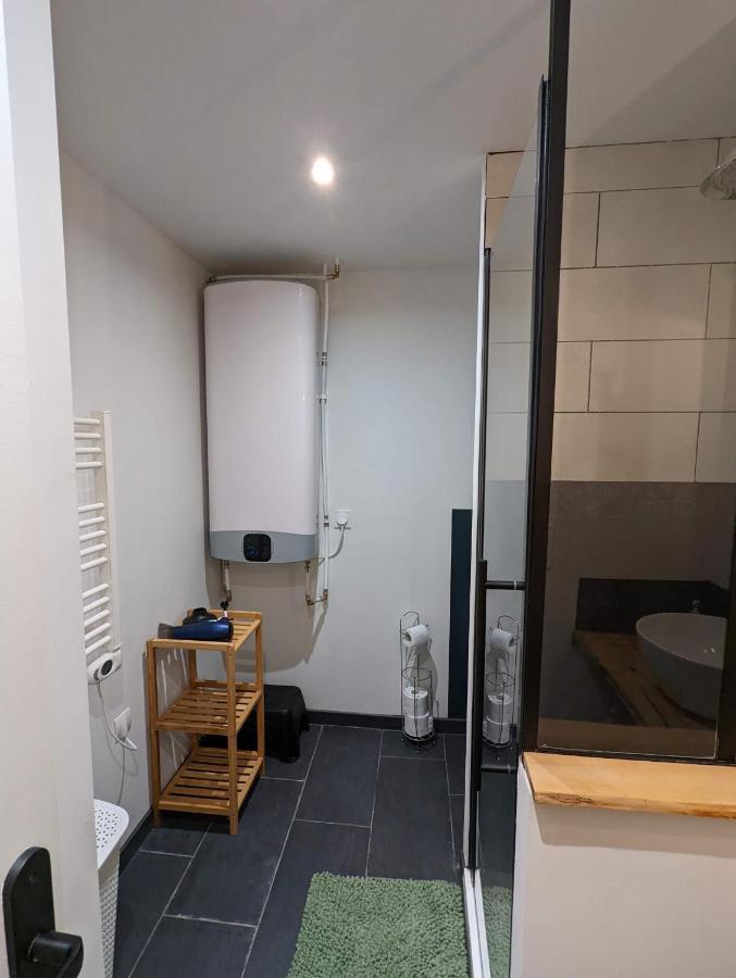 T2 Bis Cosy Proche Gare Apartment Lourdes Ngoại thất bức ảnh